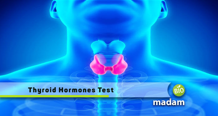 Thyroid-Hormones-Test