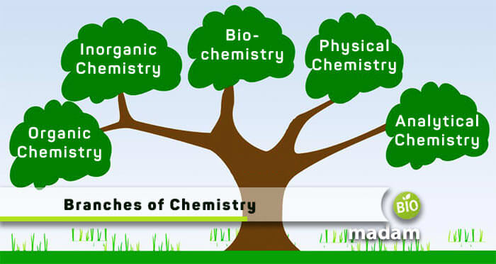 branches of chemistry