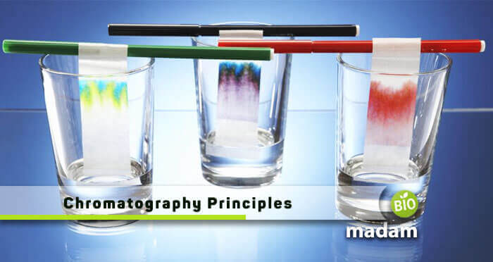 Chromatography Principles