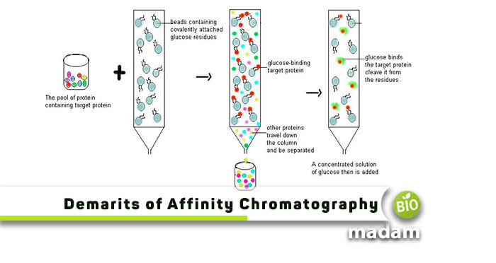 Disadvantages-of-Affinity-Chromatography