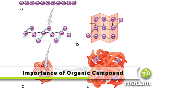 Importance-of-Organic-Compound