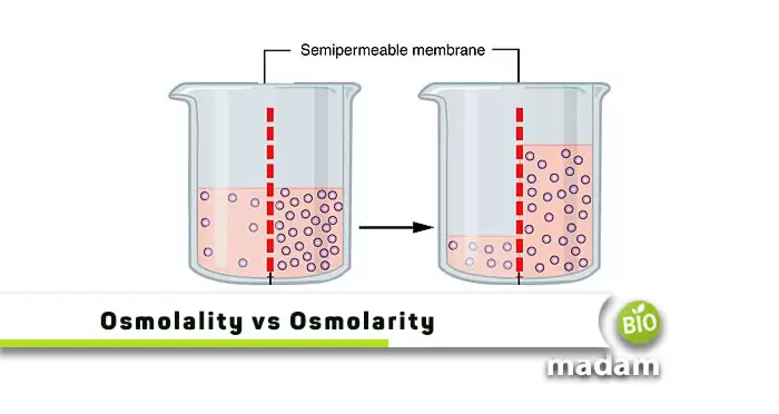 Osmolality-vs-Osmolarity