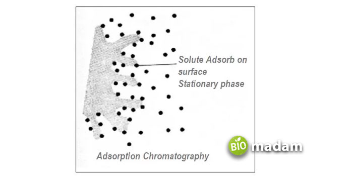 Adsorption-Chromatography