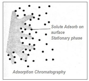 5 Different Types of Column Chromatography | Most Used | - biomadam