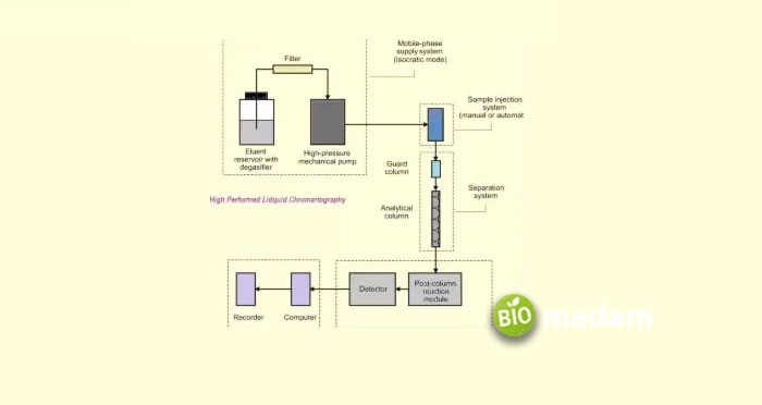 High-Performance-Liquid-Chromatography