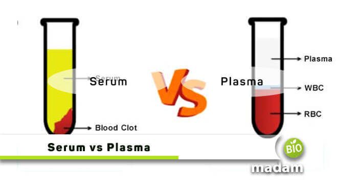 Serum-vs-Plasma