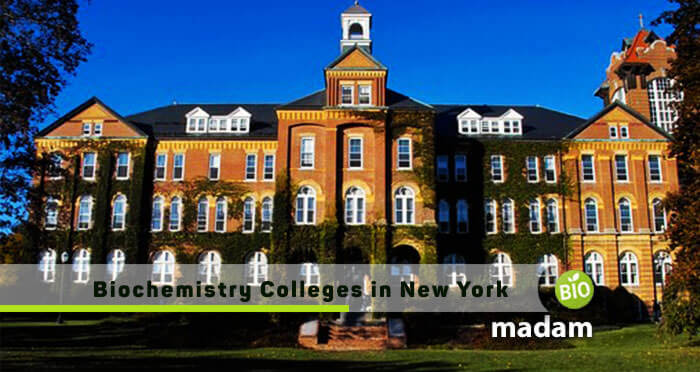 a college in New York