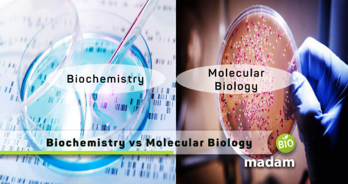 Biochemistry-vs-Molecular-Biology