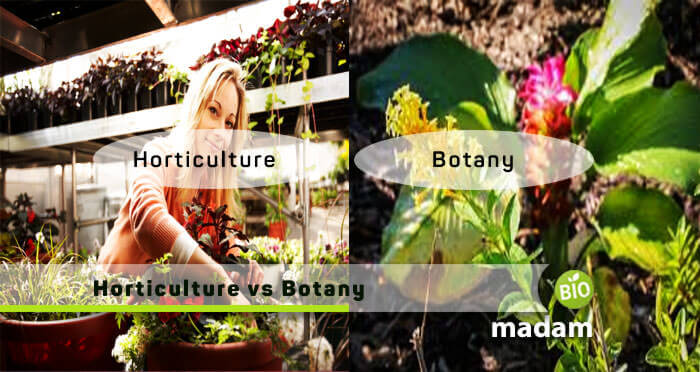 Ako sa botanika a záhradníctvo líšia