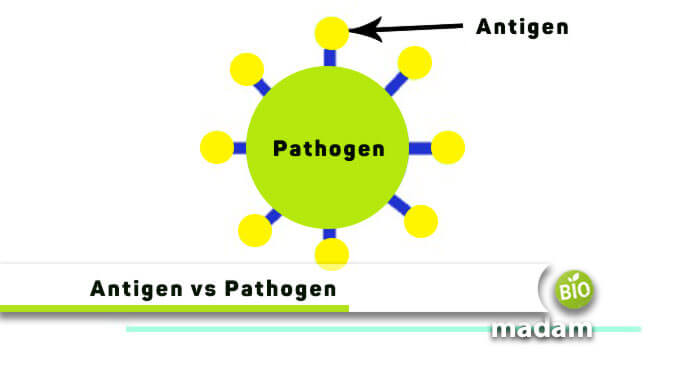 Antigen-and-Pathogen