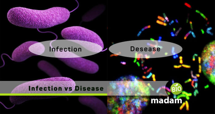 Infection-vs-disease