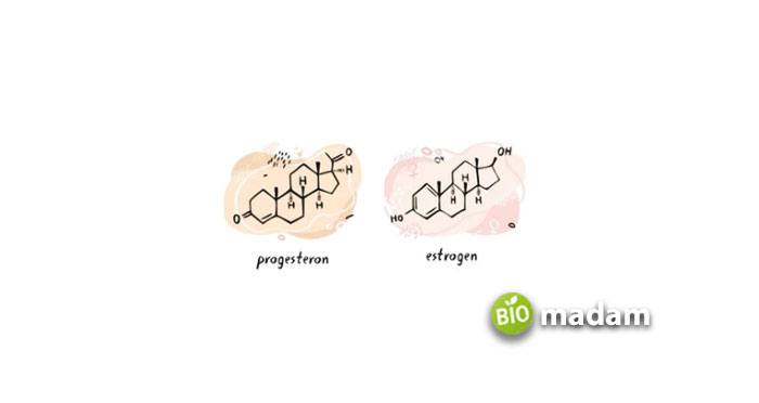 structure of estrogen & progesteron