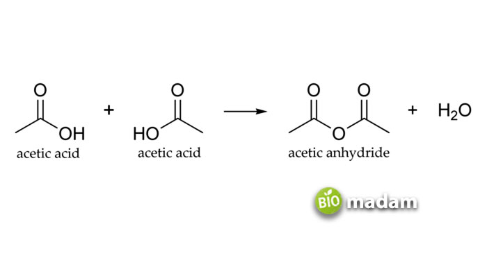 condensation of acetic acid