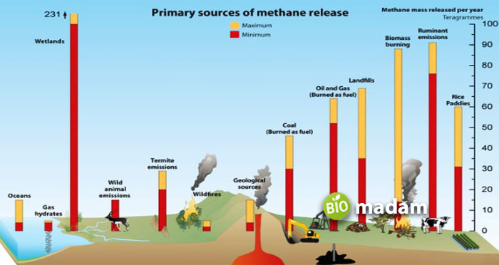 methane-release-source