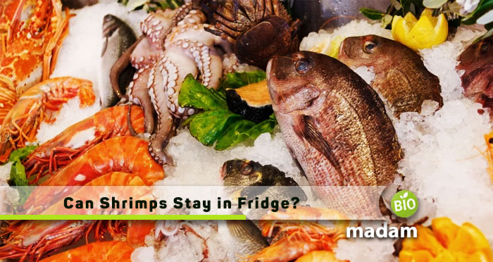 Can-Shrimps-stay-in-Fridge