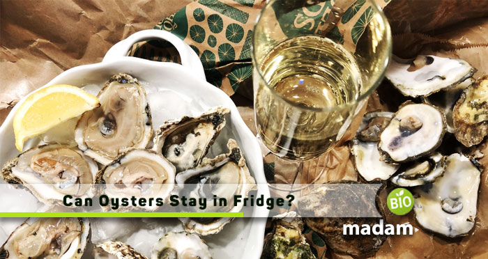 Can-oyster-stay-in-fridge