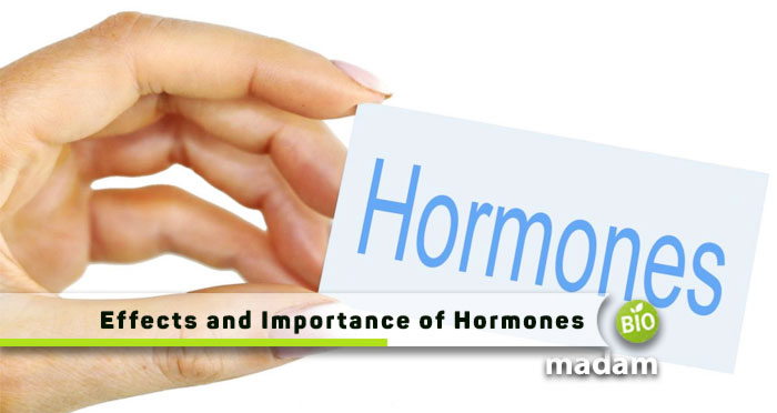 Effects-and-Importance-of-Hormones