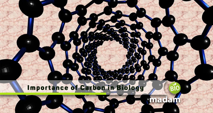 Importance-of-Carbon-in-Biology