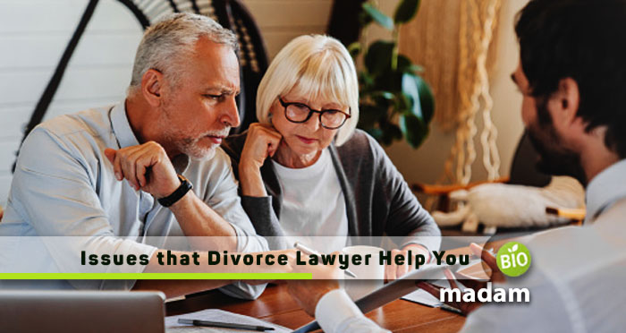 Issues-that-Divorce-Lawyer-Help-You
