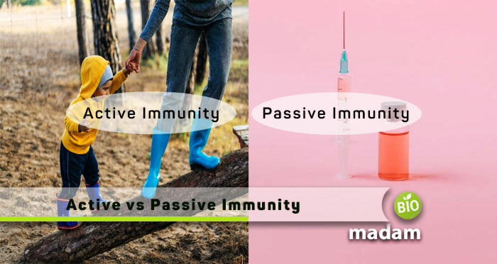 Active-And-Passive-Immunity