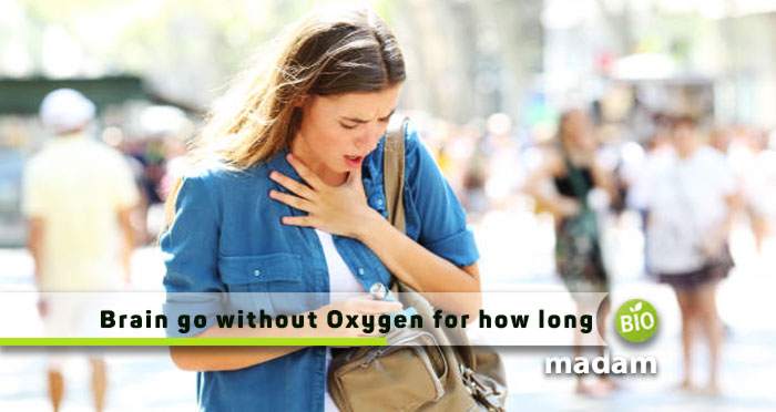 Brain-go-without-Oxygen-for-how-long