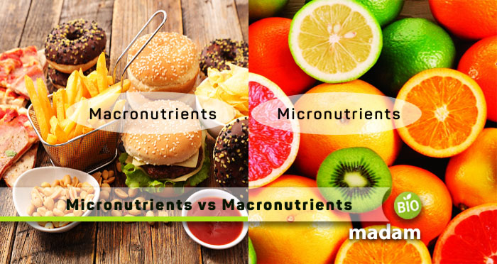 Micronutrients-and-Macronutrients