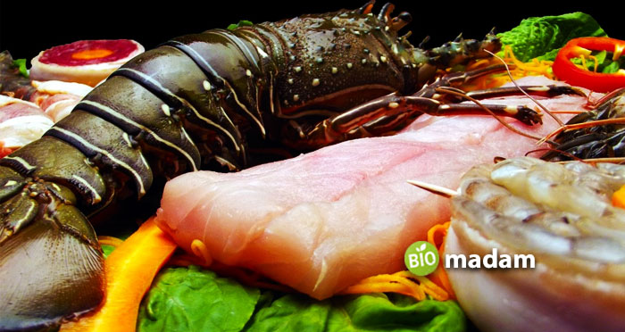 lobster-fish-shrimp-seafood-ocean