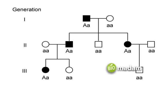 Example_autosomal_dominant_pedigree
