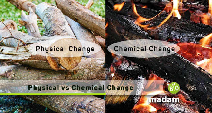Physical-And-Chemical-Change