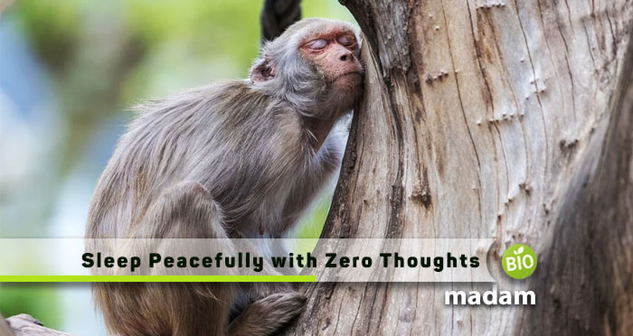 Sleep-Peacefully-with-Zero-Thoughts