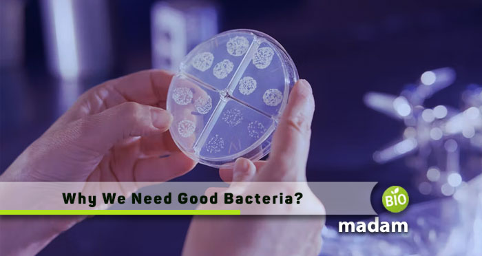 Why-We-Need-Good-Bacteria