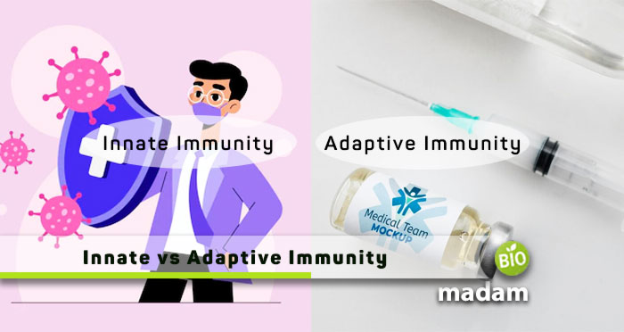 Innate-and-Adaptive-Immunity