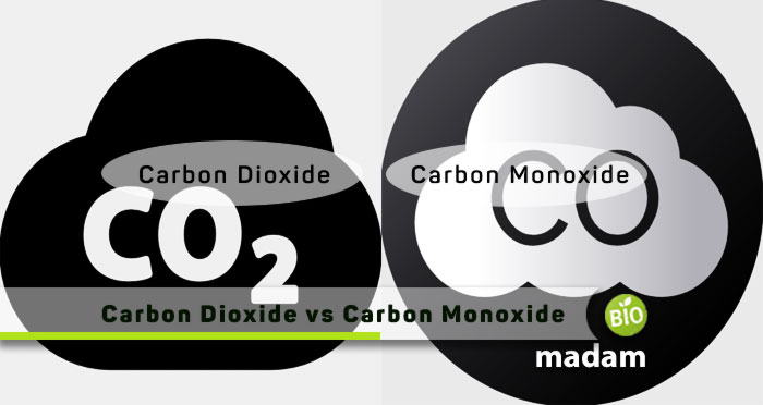 Carbon-Dioxide-And-Carbon-Monoxide