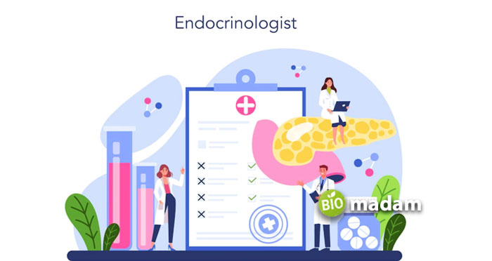 Endocrinologist-in-vector-image
