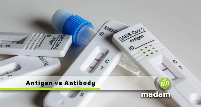 Antigen-vs-Antibody