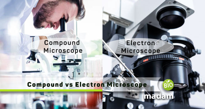 Compound-and-Electron-Microscope
