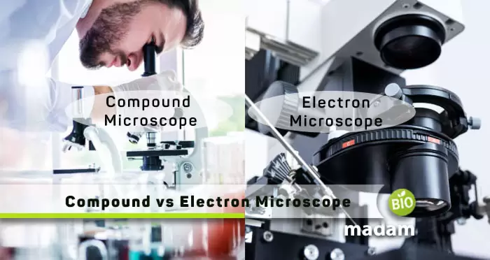 Compound-and-Electron-Microscope