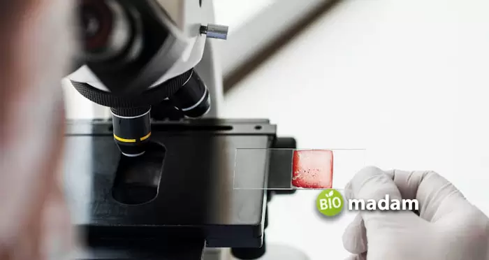 scientist using microscope
