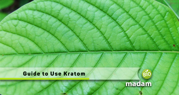 Guide-to-Use-Kratom