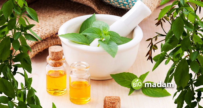 Making-essential-oil-from-leaves