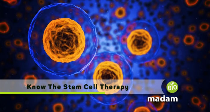 Know-The-Stem-Cell-Therapy