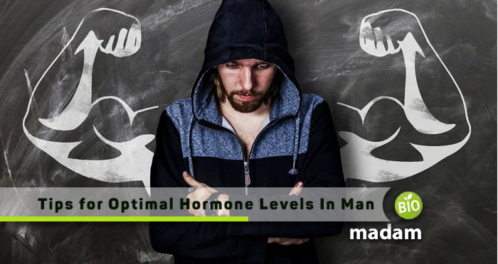 Tips-for-Optimal-Hormone-Levels-in-a-Man