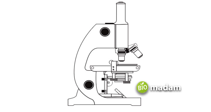 simple-microscope