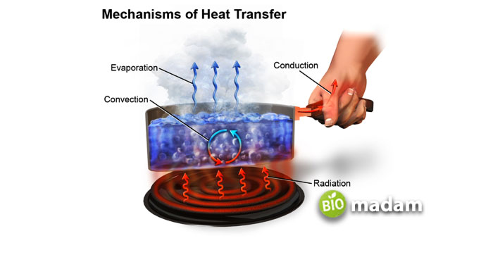 types-of-heat-transfer