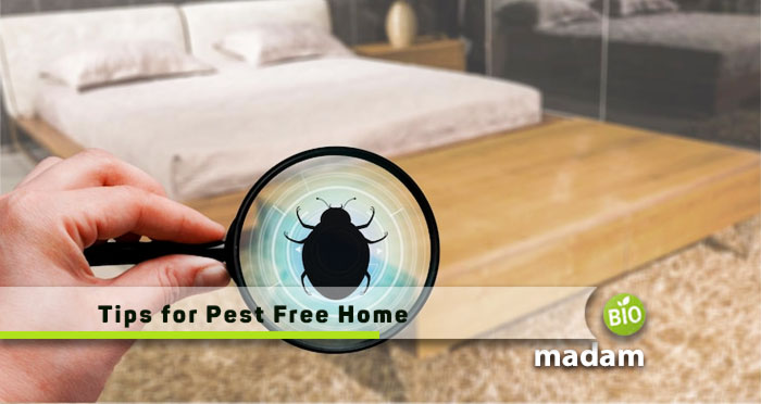 Tips-for-Pest-Free-Home