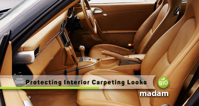 Protecting-Interior-Carpeting-Looks