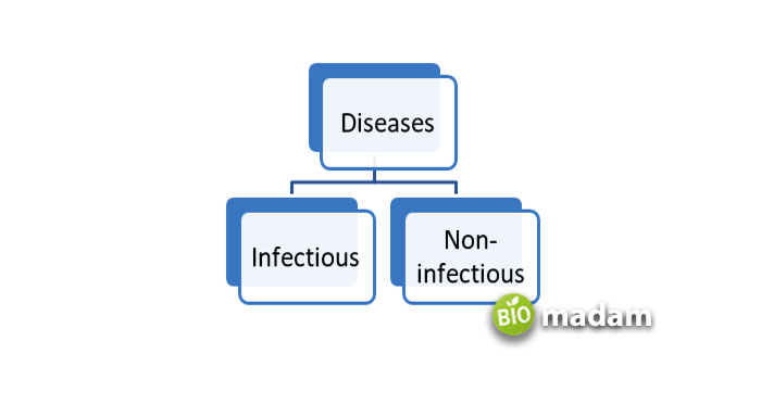 types-of-diseases