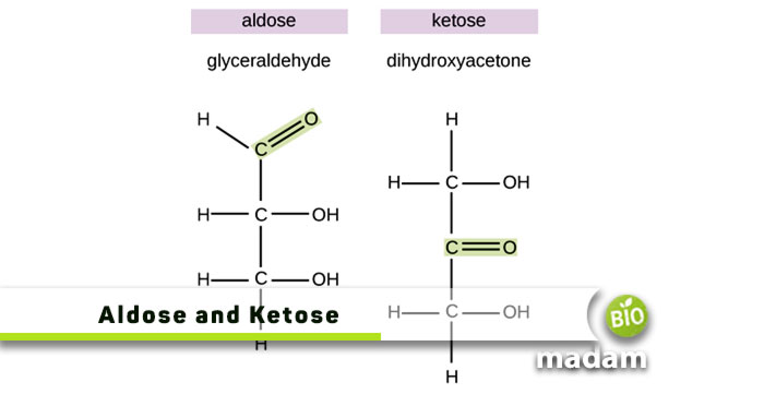 Aldose-and-Ketose