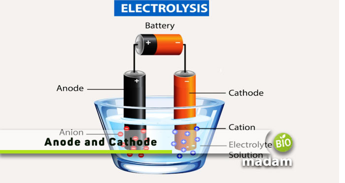 Anode-and-Cathode