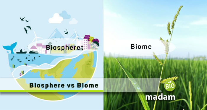 Biosphere-vs-Biome